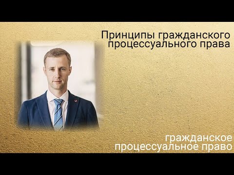 Видео: Стрим. Принципы гражданского процессуального права