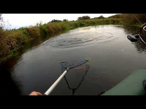 Видео: Щука клюнула на повороте реки.