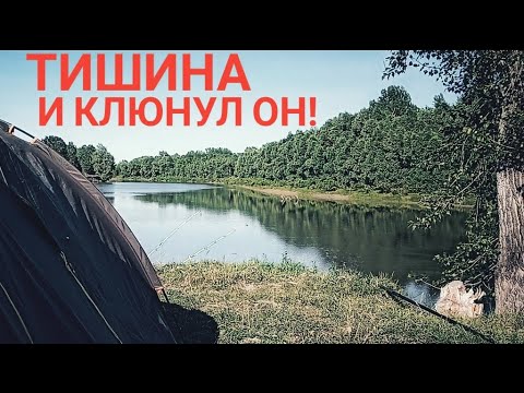 Видео: РЕКА АЛЕЙ. РЫБАЛКА С НОЧЕВКОЙ НА ДОНКИ.