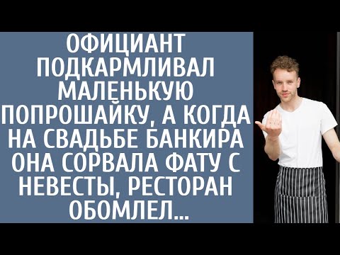 Видео: Официант подкармливал попрошайку, а когда на свадьбе банкира она сорвала фату невесты, все обомлели