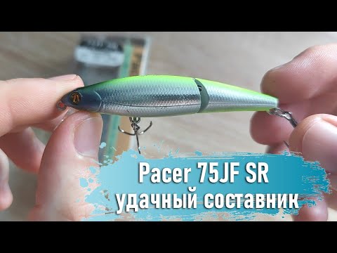 Видео: Pacer 75JF SR - удачный составник!