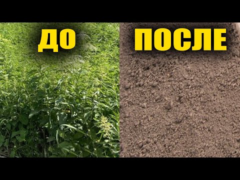 Видео: Избавилась от сорняков навсегда!