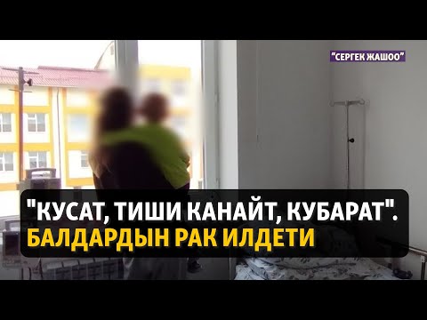 Видео: Ракка чалдыккан балдар көбөйдүбү? | "Сергек жашоо"