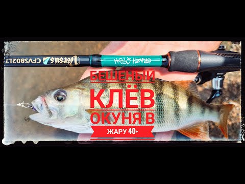 Видео: Бешеный клев Окуня на карьере в жару 40+ градусов.