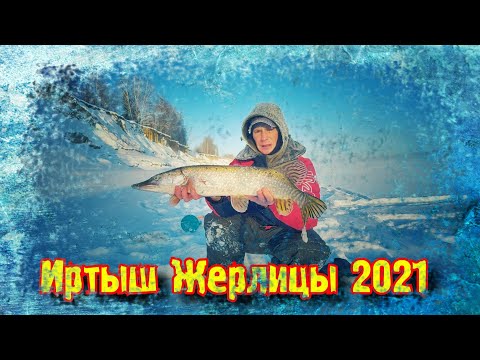 Видео: Рыбалка на Иртыше зимой Жерлицы Часть 1