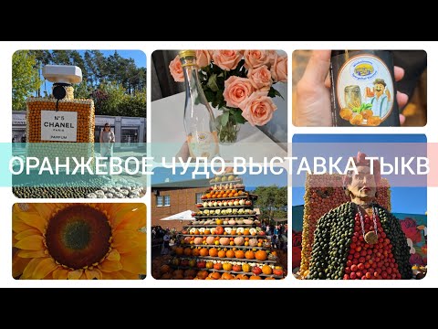 Видео: КАК ВЫГЛЯДИТ КРУПНЕЙШАЯ ВЫСТАВКА ТЫКВ БЕРЛИН-БРАНДЕНБУРГА #тыква#урожай#выставка#германия#семья#pumk