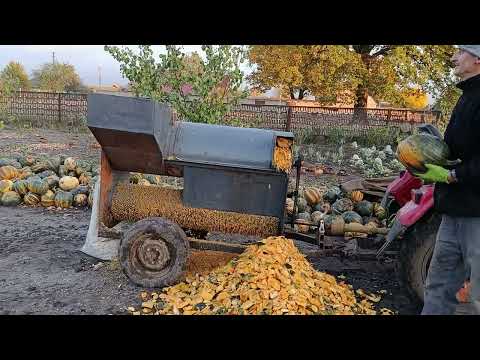 Видео: Гарбузовий комбайн 🎃@ кінець жнив .