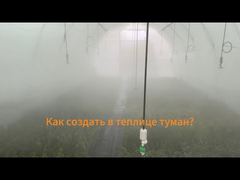 Видео: Как в теплице создать туман? Мое решение этой проблемы!