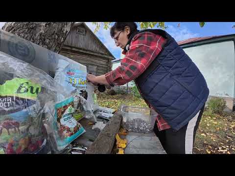 Видео: Ждём урожай. Муж молодчина! Жизнь простых людей в деревне. 