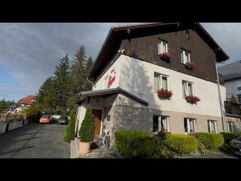 Видео: Сняли жилые в Польше за 115$.Реальные цены на аренду недвижимости в Польше!