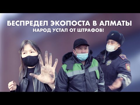 Видео: Скандальный РАЗНОС ЭКОПОСТА в Алматы