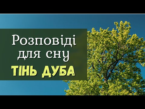 Видео: Тінь дуба 🌳| Розповіді для сну | Історія для сну