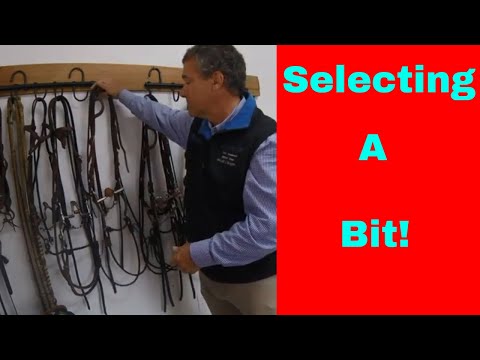 Видео: Как работают удила и как выбрать лучшее удило для вашей лошади.