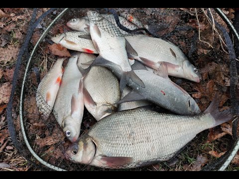 Видео: Ураганное и крутое закрытие фидерного сезона. Бердянское водохранилище 12 декабря 2021
