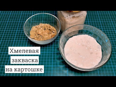 Видео: Мой любимый рецепт хмелевой закваски