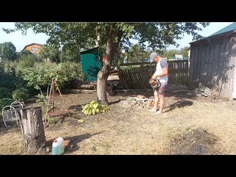 Видео: Бензопила из "СВЕТОФОР"🚦еще жива😅👍Трудяжкины будни.@wetrudyazhki