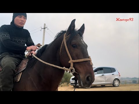 Видео: Хан Лидердин желелеши +996-550-752-352. 11 ноября 2025 г.