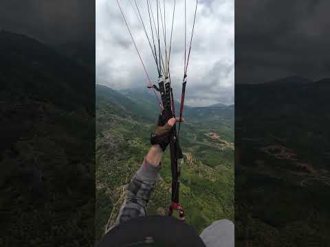 Видео: 11 ноября 2025 г.