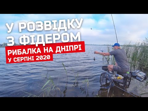 Видео: У розвідку з фідером на Дніпро. Коротка рибалка на знайомих місцях. Серпень 2020.