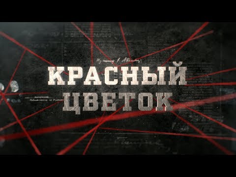 Видео: Красный цветок | Вещдок