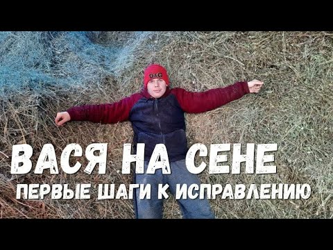 Видео: ВАСЯ на СЕНЕ. ПЕРВЫЕ ШАГИ К ИСПРАВЛЕНИЮ.