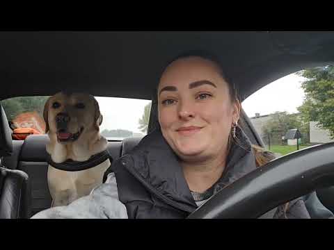 Видео: КАК ПРЕКРАСНЫ КРАСКИ ОСЕНИ🍁🍂С БРУНЧИКОМ ПО ДЕЛАМ🐕09.10.25