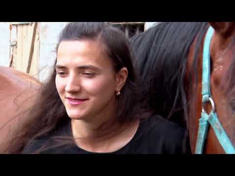 Видео: Дессировщица лошадей Татьяна Носова