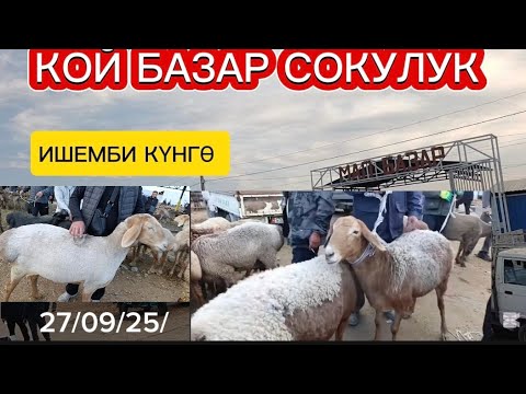 Видео: КОЙ БАЗАР СОКУЛУК МАЛ БАЗАР 27-СЕНТЧБРЬ 2025Ж ЧАРБА КОЦЛОР КӨП ЭКЕН БҮГҮН 