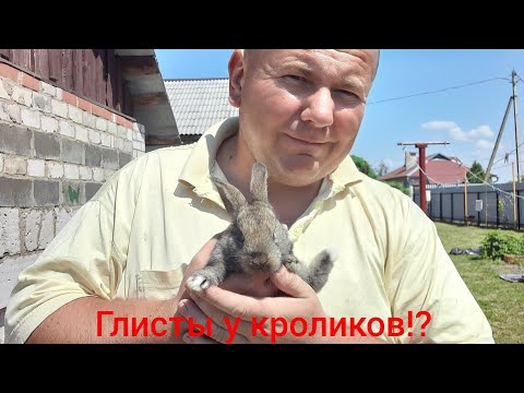 Видео: Глисты у кроликов?!