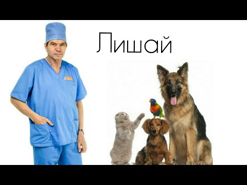 Видео: ЛИШАЙ