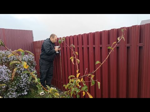 Видео: НЕТ СИЛ, ВЫГОРАНИЕ!НАДО СТРОИТЬ ДОМ!ПЛАНЫ НА БУДУЩЕЕ!ЖИЗНЬ В ДЕРЕВНЕ!