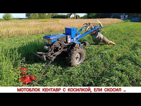 Видео: ЕЛИ СКОСИЛ , МОТОБЛОК КЕНТАВР С КОСИЛКОЙ,  КУПИЛ АКБ ДО МОТОБЛОКА / MOWER TO HEAVY MOTORBLOCK