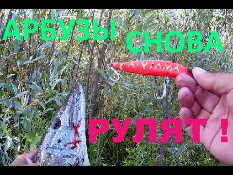Видео: АРБУЗЫ от BearKing снова РУЛЯТ ! ))) ПЕРВАЯ ТРОФЕЙНАЯ ЩУКА !!!
