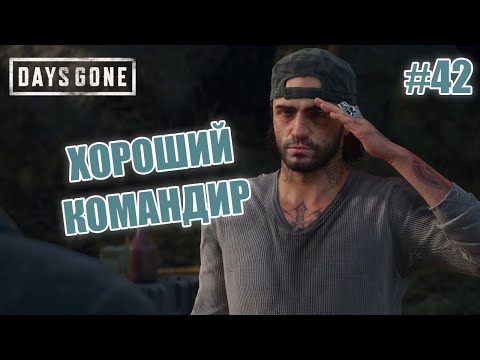 Видео: ХОРОШИЙ КОМАНДИР - Days Gone #42