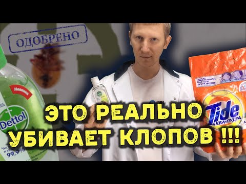 Видео: Народное средство от клопов, которое работает (мы проверили)