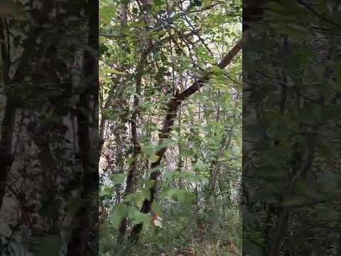 Видео: Прекрасный выходной😉👌