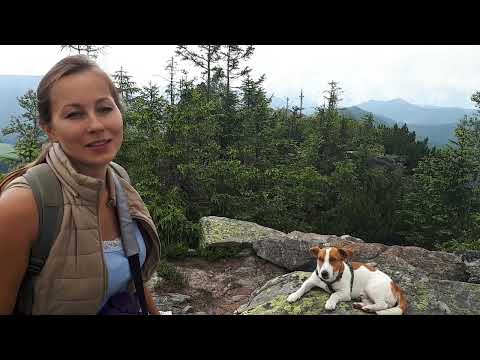 Видео: Похід на гору Явірник очима собаки