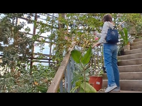 Видео: ОРАНЖЕРЕЯ БОТАНИЧЕСКИЙ САД, ДНЕПР 