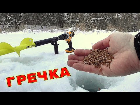 Видео: Обычная Гречка Творит ЧУДЕСА! Реакция рыбы! Подводная съемка