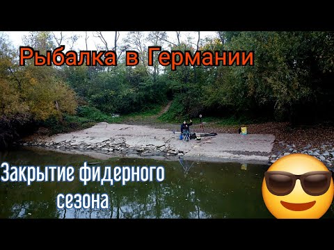 Видео: Рыбалка в Германии. Закрытие фидерного сезона.