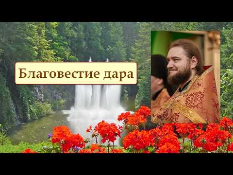 Видео: БЛАГОВЕСТИЕ ДАРА. Отец Савва (Мажуко).
