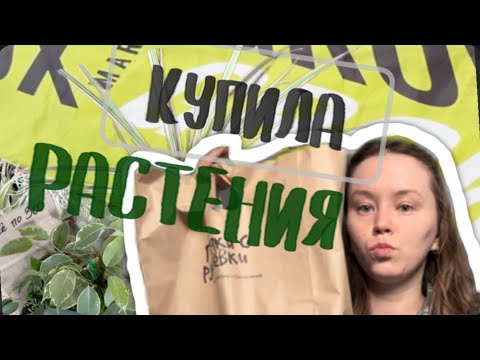 Видео: Выставка растений в Санкт- Петербурге GROWBOX MARKET🌿 Покупка растений на 1000₽🪴РАСПАКОВОЧКИ🛍️🧾