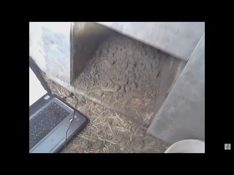 Видео: Разведение кроликов,кролики в яме.Видео из кроличьей норы