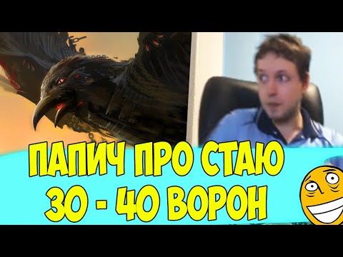 Видео: Папич про таких БОЛЬШИХ ворон рассказывает!) 30-40 штук?)