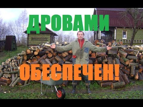 Видео: Дровами обеспечен//Варенье из сосновых шишек .