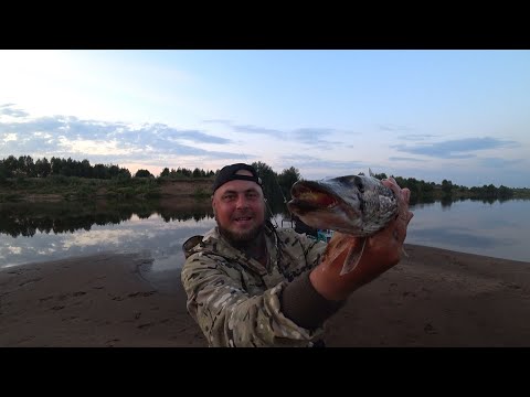Видео: Я ЗНАЛ ЧТО В ЭТОЙ ЯМЕ ЖИВУТ ЗУБАСТЫЕ! ЩУКА НА ЖИВЦА НА ЗАКИДУШКУ \ ТЁМНАЯ НОЧЬ, С БЕЛЫМИ ГОСТЯМИ!!!