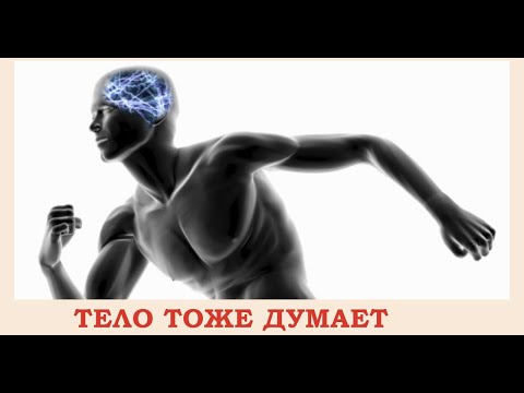 Видео: Тело тоже думает