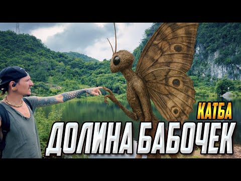 Видео: ДОЛИНА БАБОЧЕК и ЭКСПЕДИЦИЯ В ДЖУНГЛИ (часть 11)