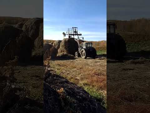 Видео: Сенокос 24 в одиночку окончен, финиш!!