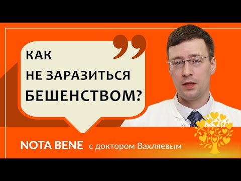 Видео: Как передается бешенство и как избежать заражения?